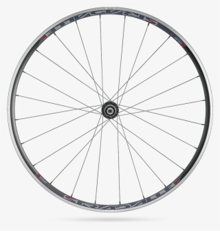 Sleeve Collection - Wheel #7659931