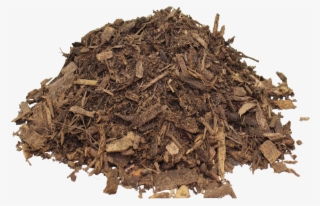 Ground Cover - Nilgiri Tea #7660475