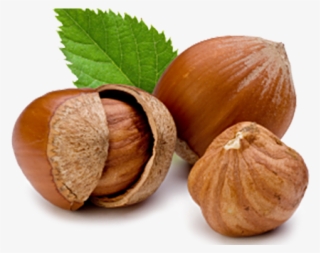 Oregon State Nut #7660633