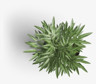 Some Of Our Clients - Logo #7660635