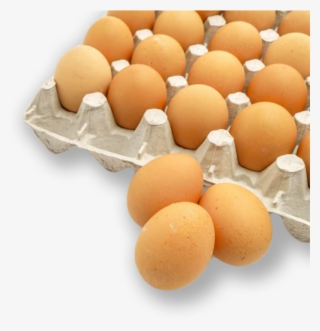 10 Egg Cartons #7661872