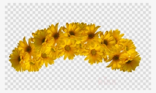 Transparent Flower Crowns - Yellow Flower Crown Transparent #7661967