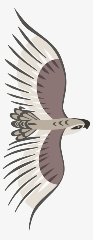 Golden Eagle Goldeneagle By Rones 999px 295 - Bird Top View Png #7662645