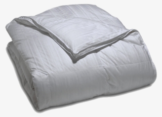 Prev - Comfort #7662969