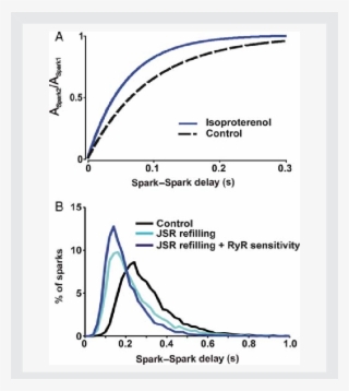 Simulations Of B-adrenergic Stimulation - Diagram #7664527