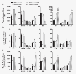 Download - Diagram #7666665