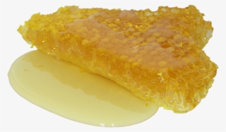 Honey, Honeycomb, Sweet, Distributional Effects, Sugar - Honeycomb Color Palette #7666892