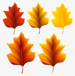 Fall Set Png Image Gallery Yopriceville View Ⓒ - Красивые Картинки Осенние Листочки #7669682