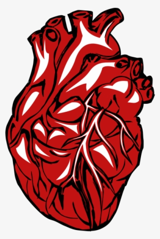 Real Heart Png Clipart - Heart Disease Icon #7672133