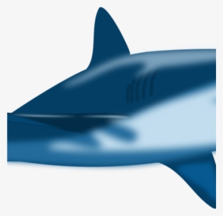Free Money With A Shark Clipart - Cretoxyrhina #7673991