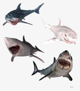 Mako Shark Clipart Transparent Background - Great White Shark Clipart ...