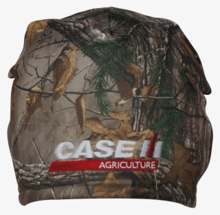 Punxsutawney Phil #7675719