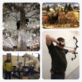 Field Archery #7675751 Field Archery #7675751