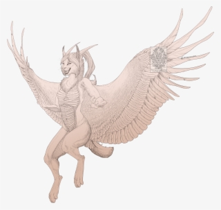 Some Light Gliding - Illustration #7676406