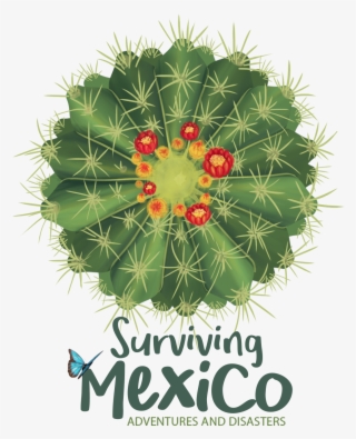 Home Page - Surviving Mexico #7677625