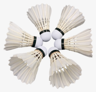 Best Price Badminton Shuttlecock Linton Tourney - Badminton #7678606