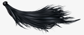 Black Hair Png #7678940