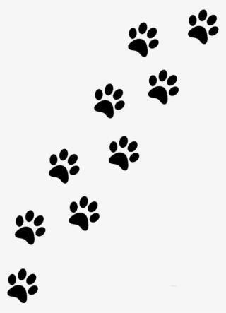 Pawprints Sticker - Paw #7680221