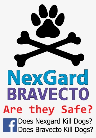 File A4 With Transparent Background - Poster #7680263