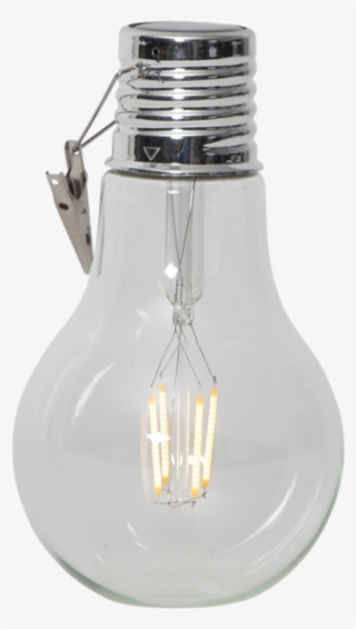 Incandescent Light Bulb #7680456