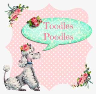 What About You Poodles Do You Have Any Hoarding Confessions - Illustration #7681557