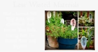 Nikki In Stitches Craft Academy - Plantation #7682302