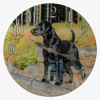 Categories - หมา พันธุ์ ตัว ใหญ่ #7683068