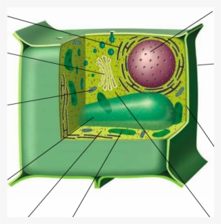 Location - Hutch #7683912