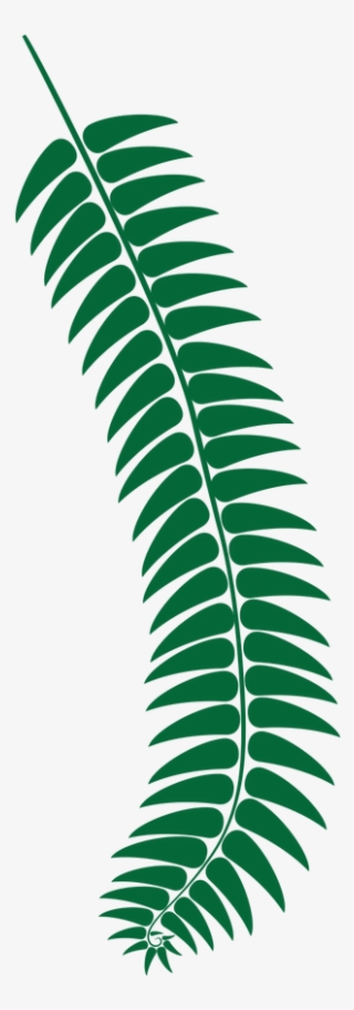 Fern Dark Green - Fern #7684386