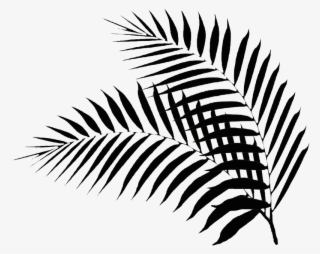 Black Palm Leaf - Black Palm Leaf Png #7684652