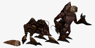 Mundane Flora And Fauna [archive] - Morrowind Kwama #7684907