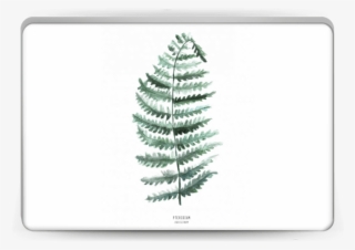 Pteridium Aquilinum Skin Laptop - Bracken #7684942