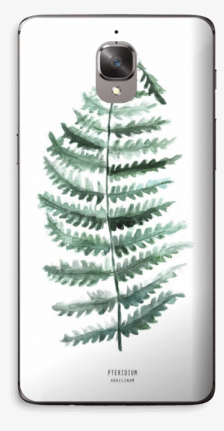 Pteridium Aquilinum Skin Oneplus - Bracken #7685386