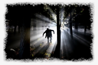 In 1813, Jacob Grimm Wrote Down This Spooky Story In - Man Running In Forest Night #7685499
