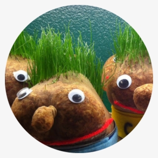 Grass Pets - Mar #7686525