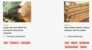 Trees And Timber Desktop Layer 2 - Tree #7687676