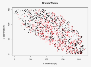 The Scatter Plot Of The Locations Of Birch Trees , - Diagram #7687753