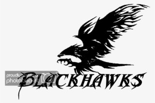 Hawk Logo Black And White Bing Images - Eagle #7688486