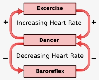Just Like In Bomba Dancing, The Heart Uses Negative #7690363 Just Like In Bomba Dancing, The Heart Uses Negative #7690363