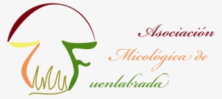 Setas En Peligro De Extinción En La Comunidad De Madrid - Arabian Horse #7691419