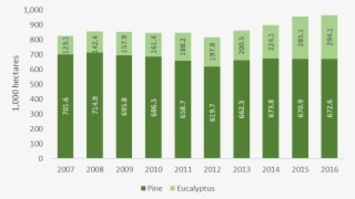 Forest Industry Of Brazil #7692172