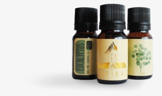 Home - Tree #7692397