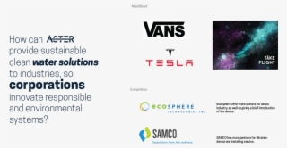 Brand Identity For Aster - Vans Shoes Ads #7697496