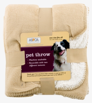 Companion Dog #7697642