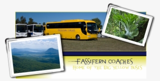 Yellow Buses Australia - Tour Bus Service #7698450