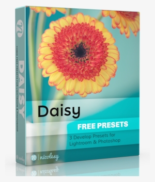 Lightroom Presets Daisy #7698688