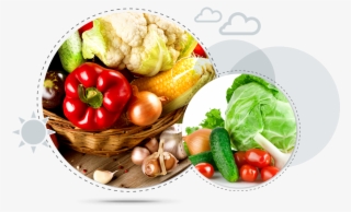 More Than Fresh - Taze Sebze Png #7699425