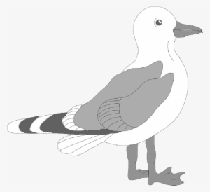 Download Gull Bird Png Transparent Images Transparent - Seagull Template #770115