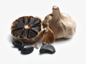 4 Jul - Black Garlic Fermenter Full Automatic Intelligent Control #770239 4 Jul - Black Garlic Fermenter Full Automatic Intelligent Control #770239