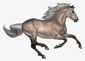 Silvergrullo - Horse Png #770722